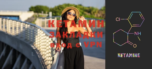 соль ск Ельня