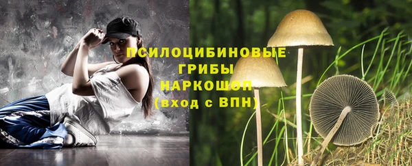 дмт Баксан