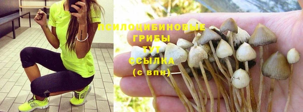 ГАЛЛЮЦИНОГЕННЫЕ ГРИБЫ Балахна